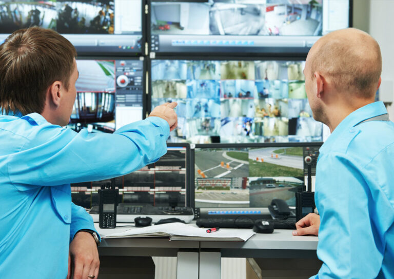 paladin-security-industrial-video-system